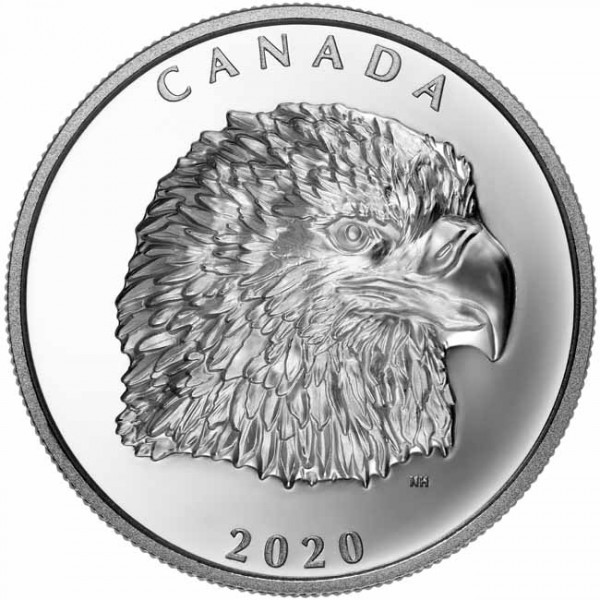 Proud Bald Eagle 1 Ounce Silver Proof EHR Coin 25 CAD Canada 2020
